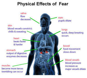 understanding-fear